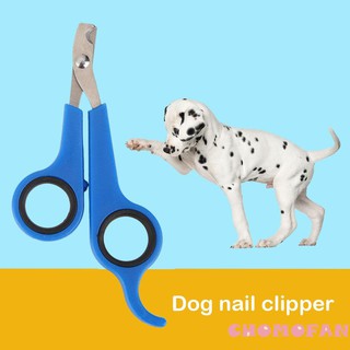 Dụng cụ cắt móng cho thú cưng