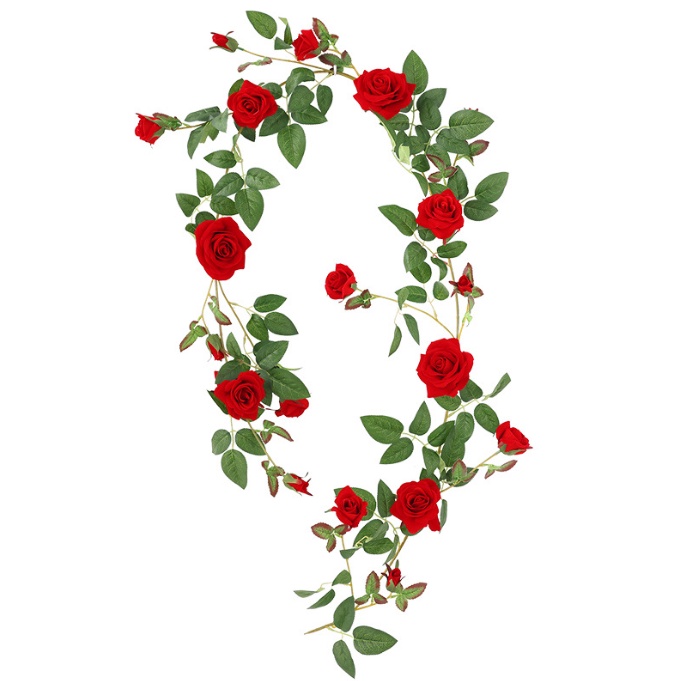 Dây leo hoa hồng nhung đỏ sang trọng