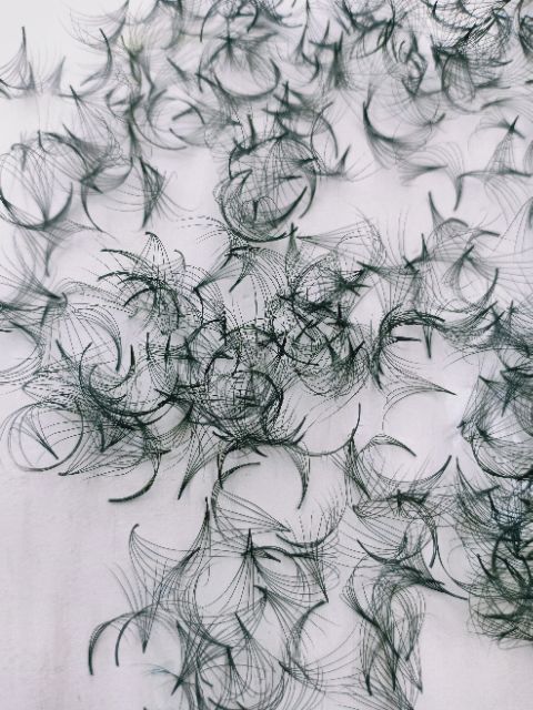 Mi fan 6d - hộp 1000 fan