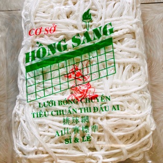 Lưới bóng chuyền hơi luyện tập ( không cáp ) 9m x 0,7m