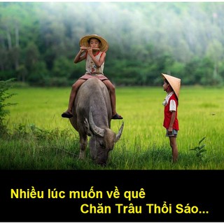 💥💥Sáo Nhựa 6 Lỗ Cho Bé💥💥