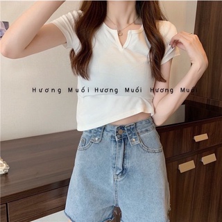 Áo bozip cổ V nhiều màu-siêu đẹp