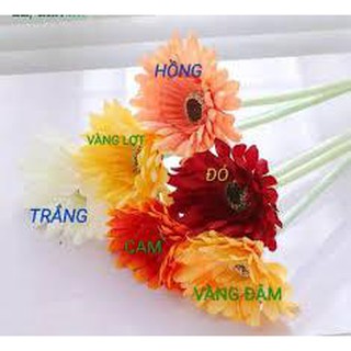 Hoa Đồng Tiền vải decor trang trí nhà cửa