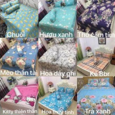 Chăn hè ga gối 1m6 cotton poly set 4 món mvdv hoa đào