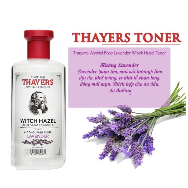 [CHÍNH HÃNG_CÓ TEM] Nước hoa hồng không chứa cồn Thayers Alcohol Free Witch Hazel Toner Lavender 355ml