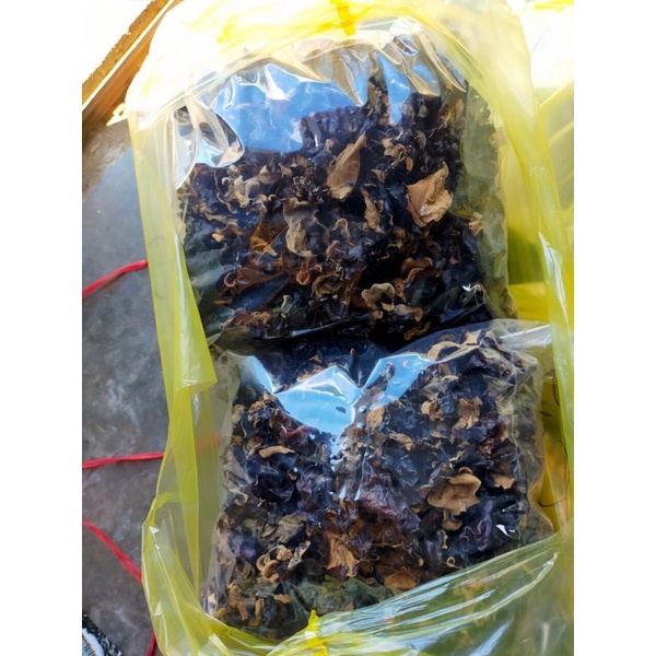 Nấm mèo  tây bắc