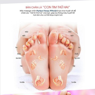 [BN17]  Máy massage chân Fitness PFN-03