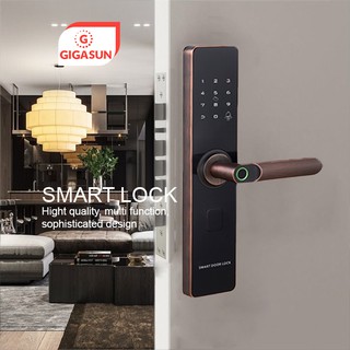 Khóa cửa vân tay Gigasun D01B