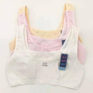 5 Áo lá Học sinh - bản size lớn( cotton xịn)