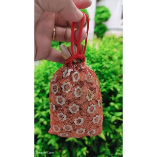 Túi thơm gỗ xá xị để phòng, tủ, xe...