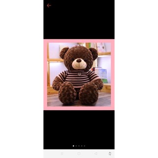 Gấu bông Teddy khổ 60cm