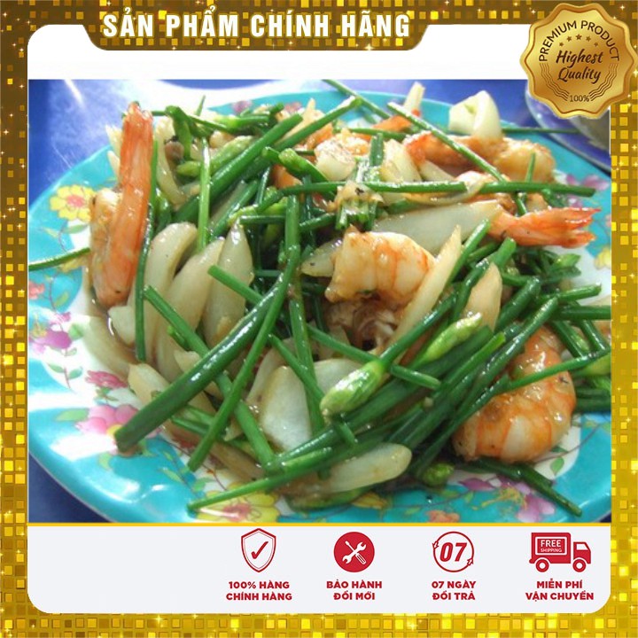 Hạt giống Rau Hẹ Ta rau dễ trồng gói 10 gram