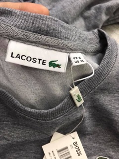 Bộ nỉ da cá Lacoste Size 60-70kg