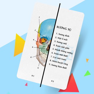 Combo 4 cuốn Sổ tay FA học Giải Phẫu Song ngữ giấy cứng bền đẹp, chống lóa, chống nước cao cấp