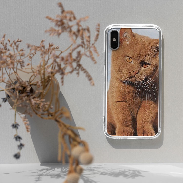 Ốp lưng điện thoại Cat Mèo nâu đáng yêu cho iPhone12promaxXS XR nữ 8plus mềm 7Plus X XR Xs Max 6 6s BLUMEW0138