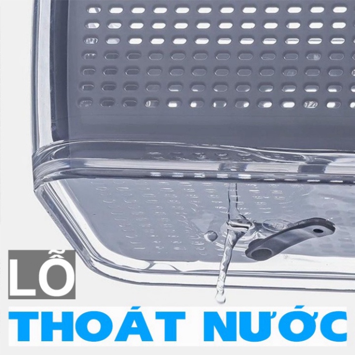 COMBO 2 Hộp Đựng Thực Phẩm Tủ Lạnh 2 Lớp Có Lỗ Thoát Nước, Có Khóa Thoát Khí, Dễ Dàng Bảo Quản Rau Củ [FREESHIP]
