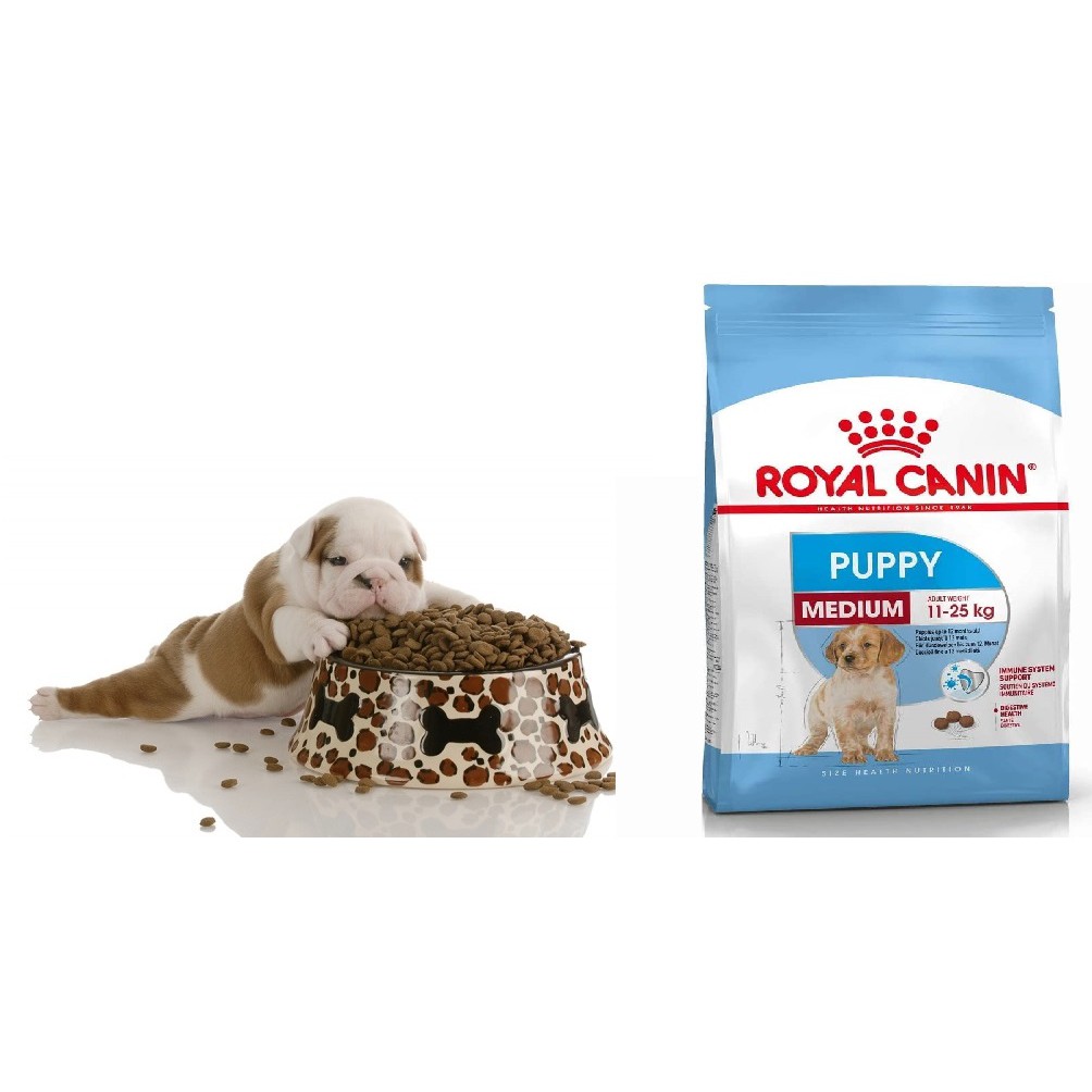 10kg ROYAL CANIN MEDIUM PUPPY Dành cho chó có (cân nặng từ 11 - 25 kg) đang trong lứa tuổi Puppy từ 2 đến 12 tháng tuổi