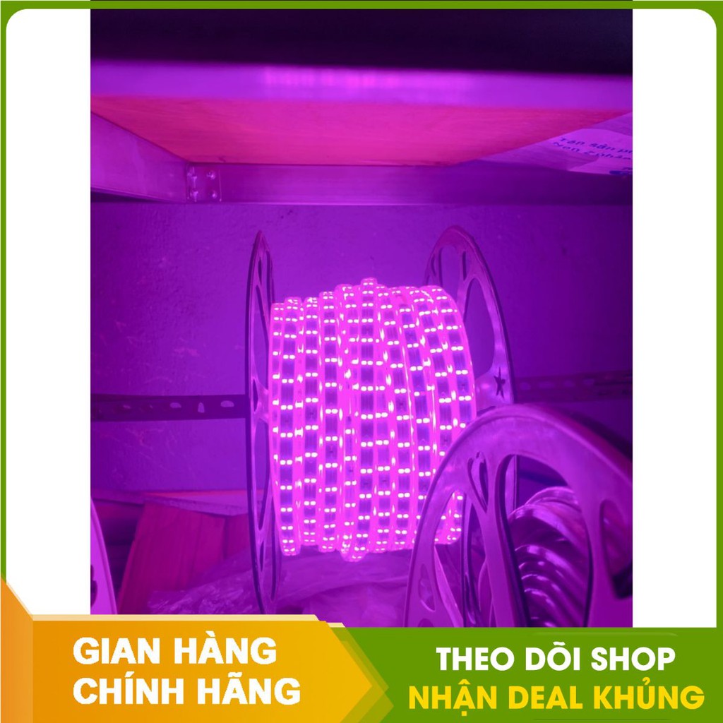 Đèn led dây đôi lõi đồng 2 hàng bóng 2835 - IP65