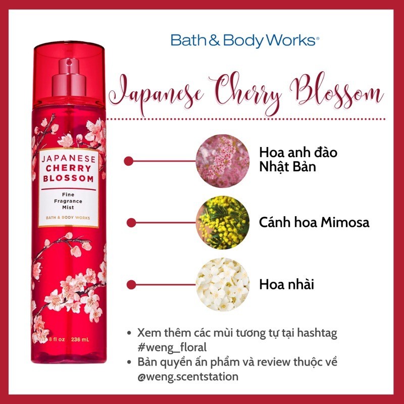 Xịt thơm toàn thân Bath And Body Works mùi Japanese Cherry Blossom