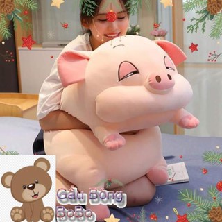 [BOBO] GỐI ÔM GẤU BÔNG MINISO HEO MẮT HÍ SIÊU MỊN CAO CẤP SIZE LỚN ẢNH THẬT