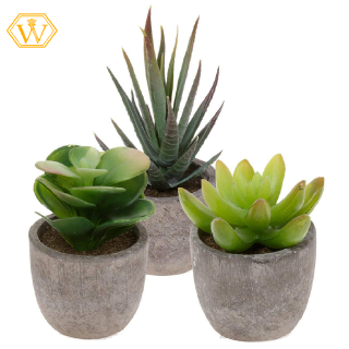Set 3 Cây Sen Đá Giả Dùng Để Trang Trí
