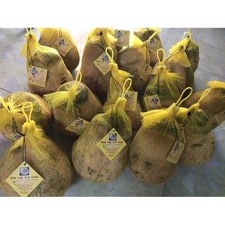 Dừa sáp Trà Vinh Loại 1 (từ 1kg-2kg)