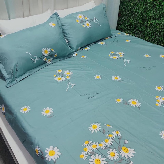 Ga gối poly cotton kiểu mới