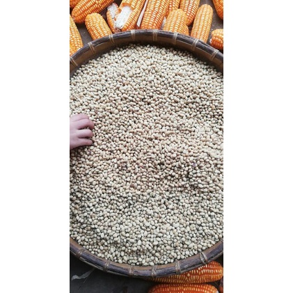 Đậu nành hữu cơ thuần chủng 500gr