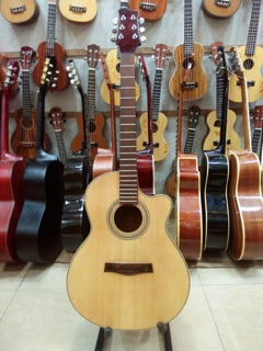 Đàn Guitar Acoutic HD150