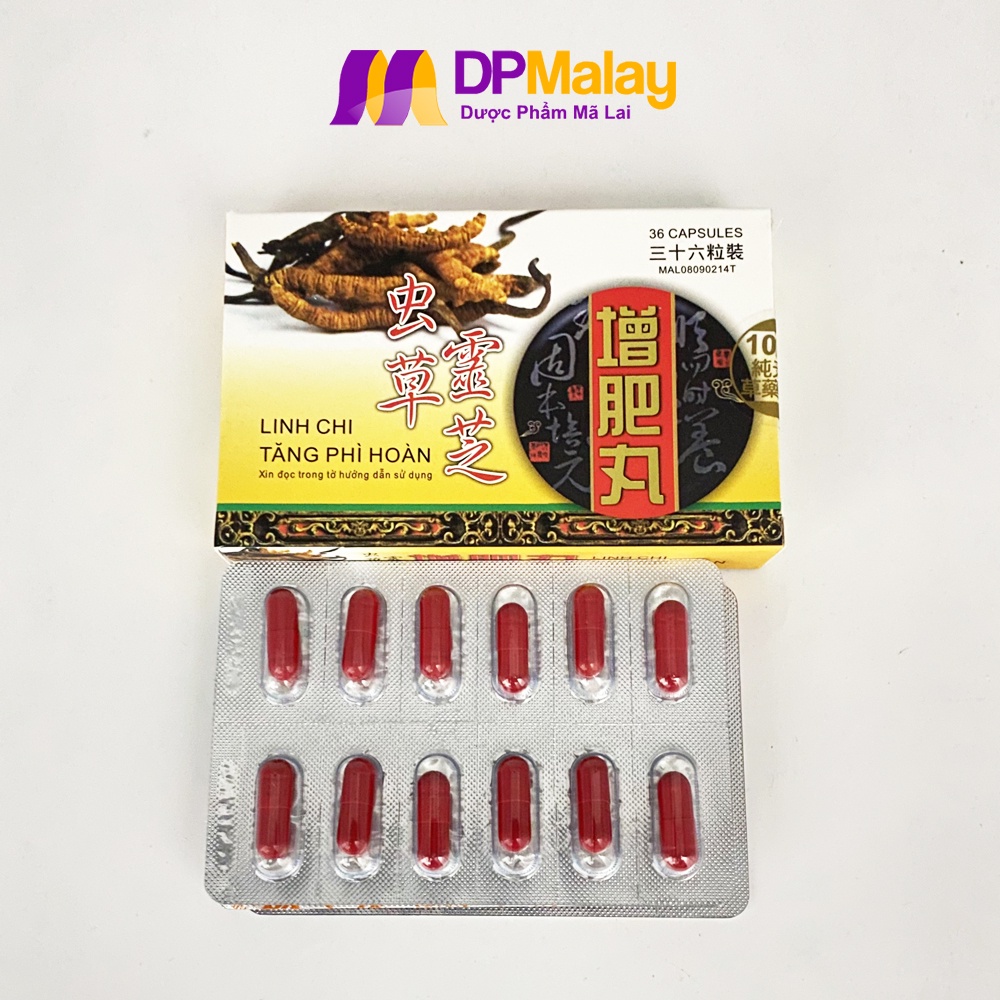 Tăng Cân Malaysia Linh Chi Tăng Phì Hoàn