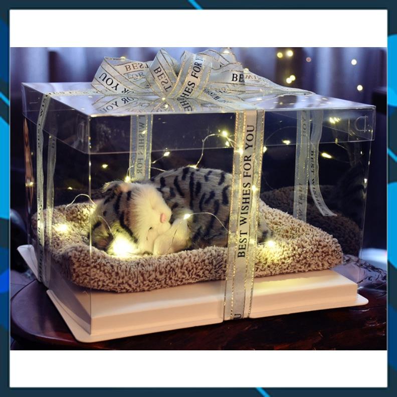 Hộp Quà Sinh Nhật Mèo Xám Dễ Thương, Thích Hợp Làm Decor Trang Trí, Quà Lưu Niệm