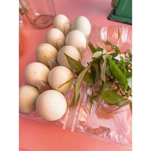 Hột vịt lộn úp mề giao nhanh tphcm chưa luộc ko kèm rau ớt ạ