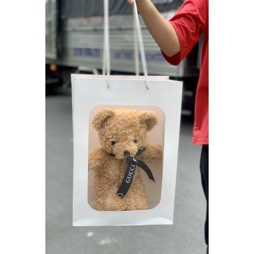 Gấu Bông Teddy Chỉ Mềm Mượt Cao Cấp kèm Túi Kiếng + Đèn Led Quà Tặng Ý Nghĩa Gấu Bông giá Rẻ