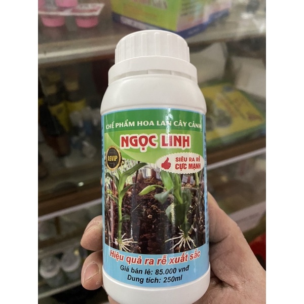 Siêu kích rễ Ngọc Linh chai 250ml chuyên dùng cho hoa Phong Lan &amp; cây kiểng