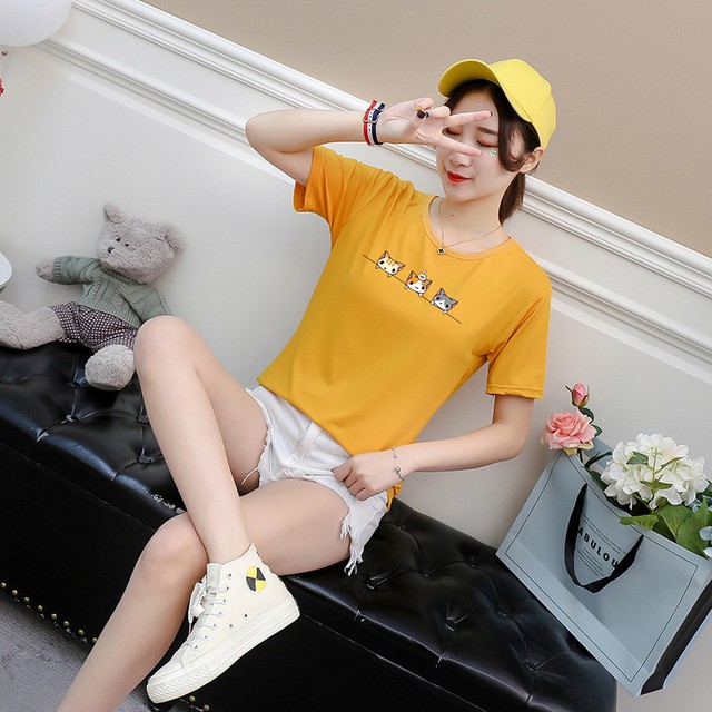 Áo Thun Tay Lỡ Cổ Tròn Dáng Rộng In Hình Mèo 3D Dễ Thương Thời Trang Mùa Hè 2019 Cho Bạn Gái