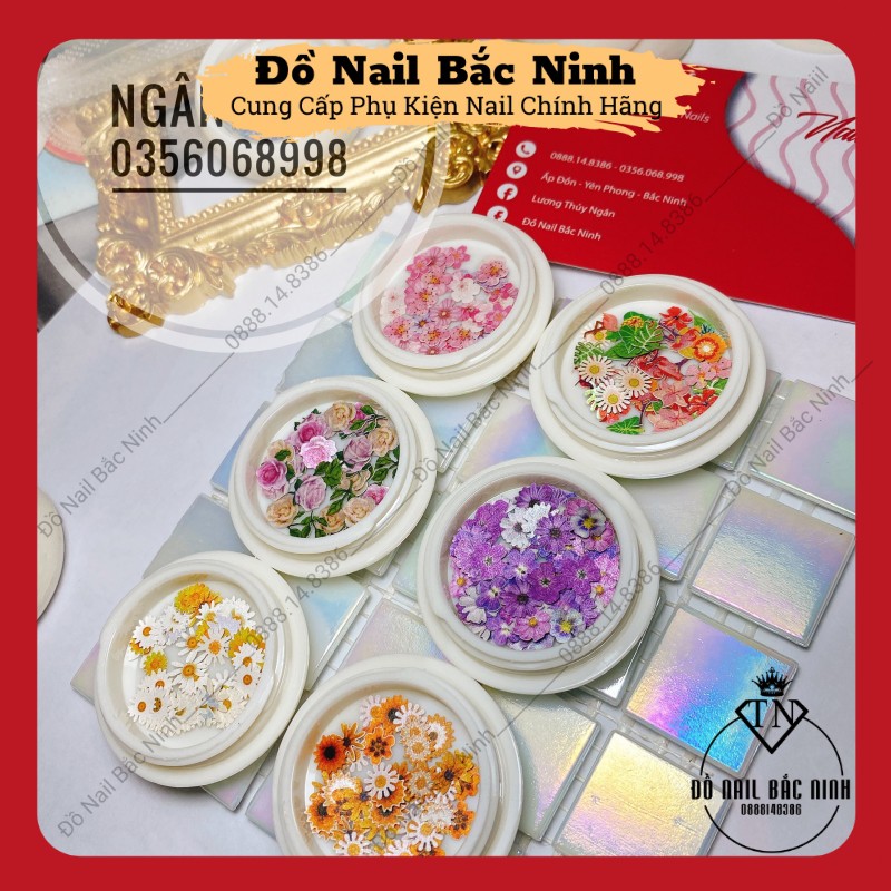 Hoa Khô Ẩn Nail Ẩn Gel Trang Trí Móng Cực Xinh