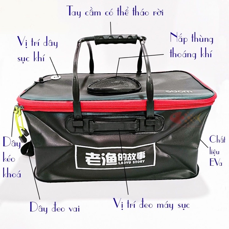 Thùng đựng cá đi câu di động gấp gọn dài 50cm