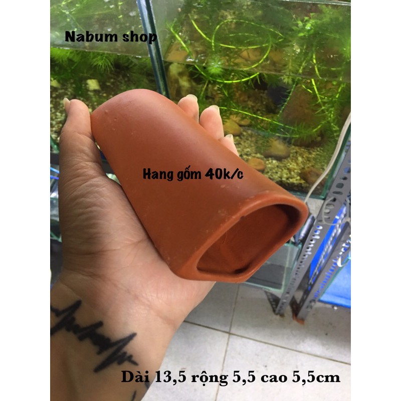 Hang gốm Pleco vát