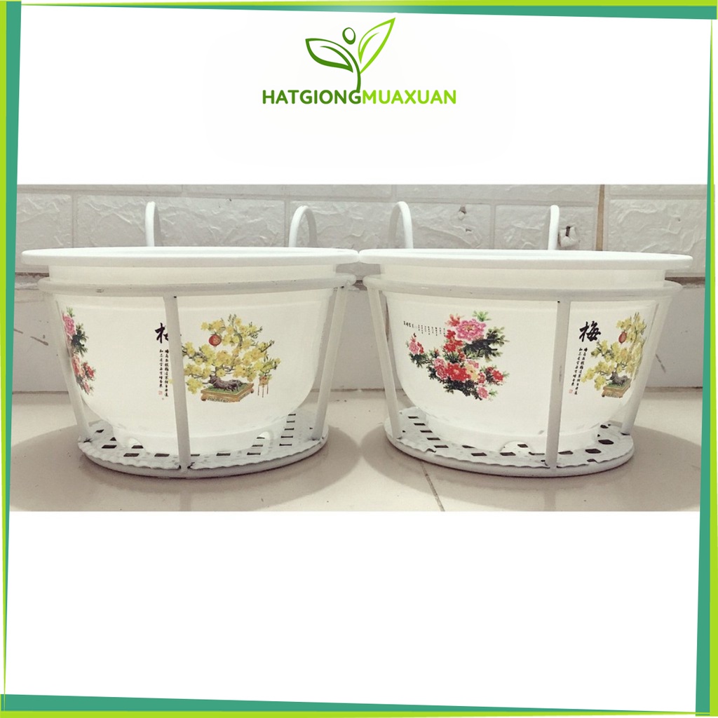 ComBo 2 GIỎ SẮT Treo Chậu Hoa Ban Công Hình Tròn - Màu Trắng + 2 Chậu Nhựa Trồng Hoa Cây Cảnh Bốn Mùa 250x170