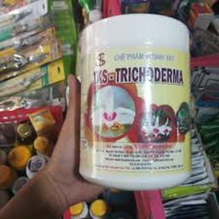 NẤM ĐỐI KHÁNG TRICHODERMA TKS HỘP 1KG