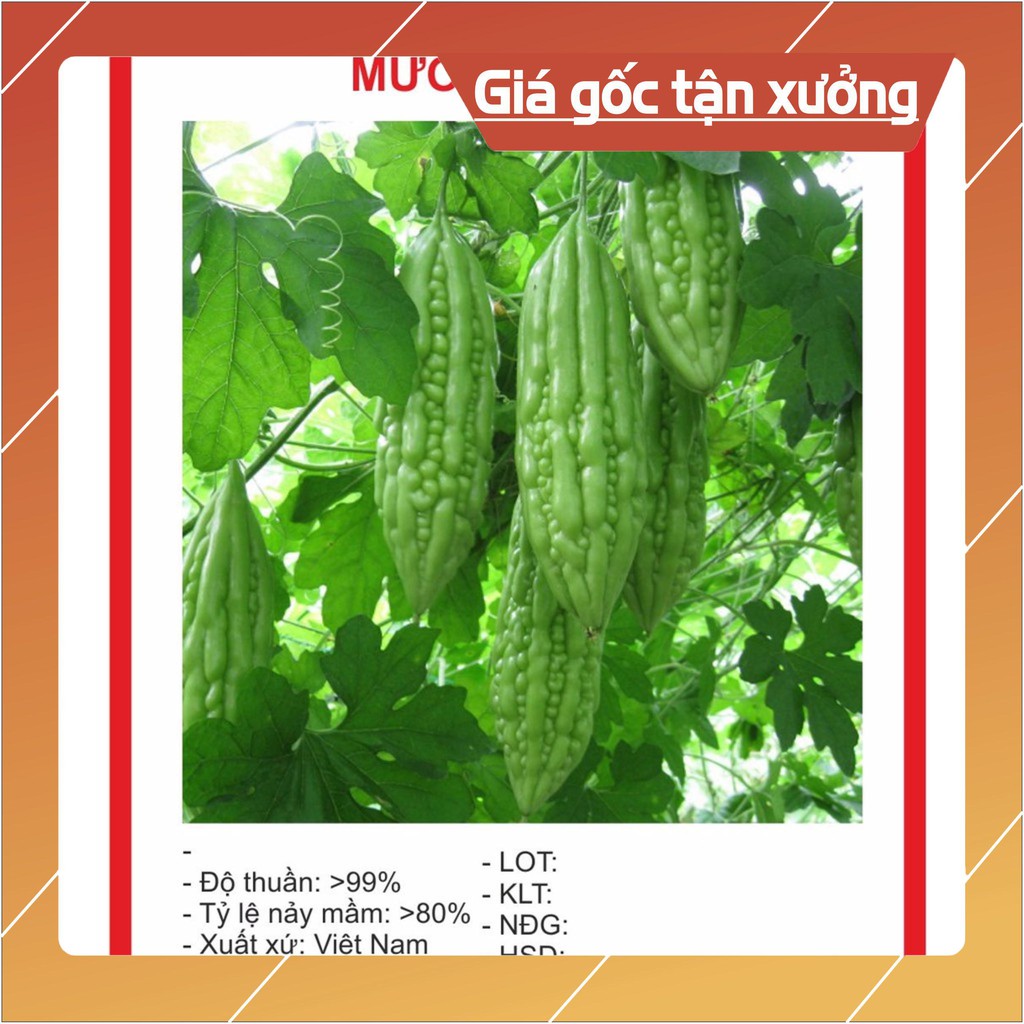 Hạt Giông Mướp Đắng 10 Hạt Hạt giống