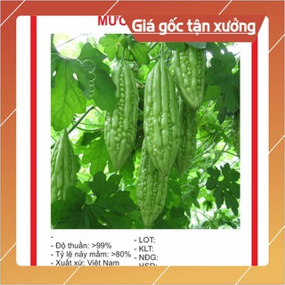 Hạt Giông Mướp Đắng 10 Hạt Hạt giống