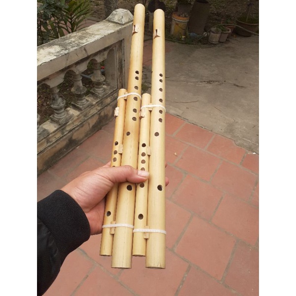 Sáo Mèo Kép Việt Tone Đô