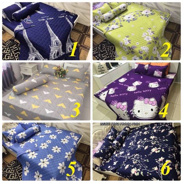 Bộ ga gối cotton poly