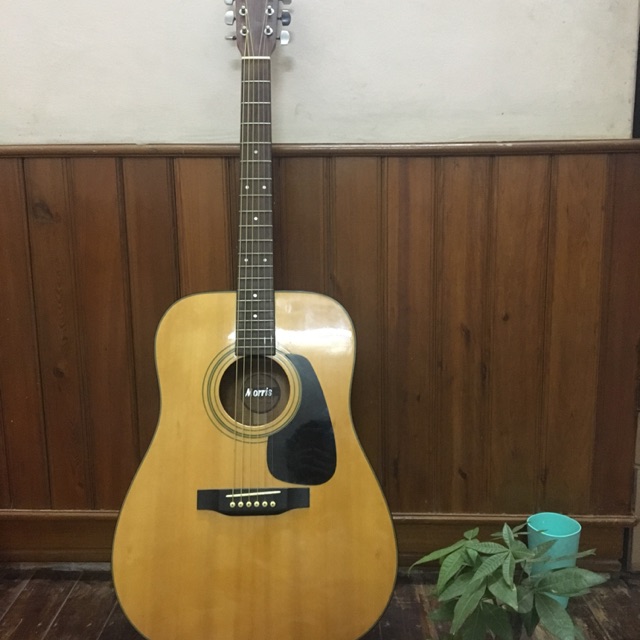 Guitar Morris MD502