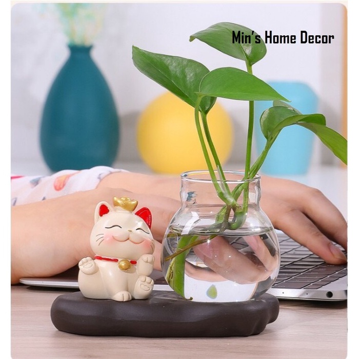 Chậu trồng cây thủy sinh mini để bàn, Chậu thủy tinh mèo may mắn, mèo thần tài