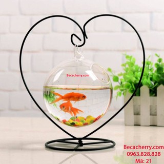 Bể Cá Mini Phong Thủy Hình Trái Tim 21 ( Tặng kèm combo phụ kiện trang trí )