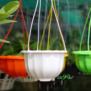 Chậu treo bí lớn đủ màu (kèm quai treo)