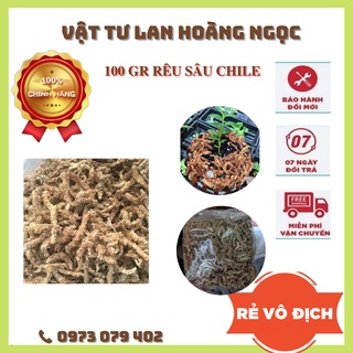 RÊU SÂU CHILE HÀNG LOẠI 1 (100GR)  - Giá thể giữ ẩm tuyệt vời cho phong lan (hay còn gọi là rêu sâu)