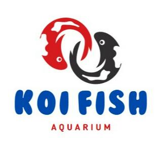 Koi Fish Aquarium